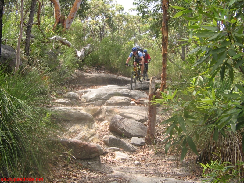 20061210-Lindfield 043 